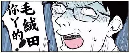 假如自己变成猫是什么体验,从人类变成猫是什么体验