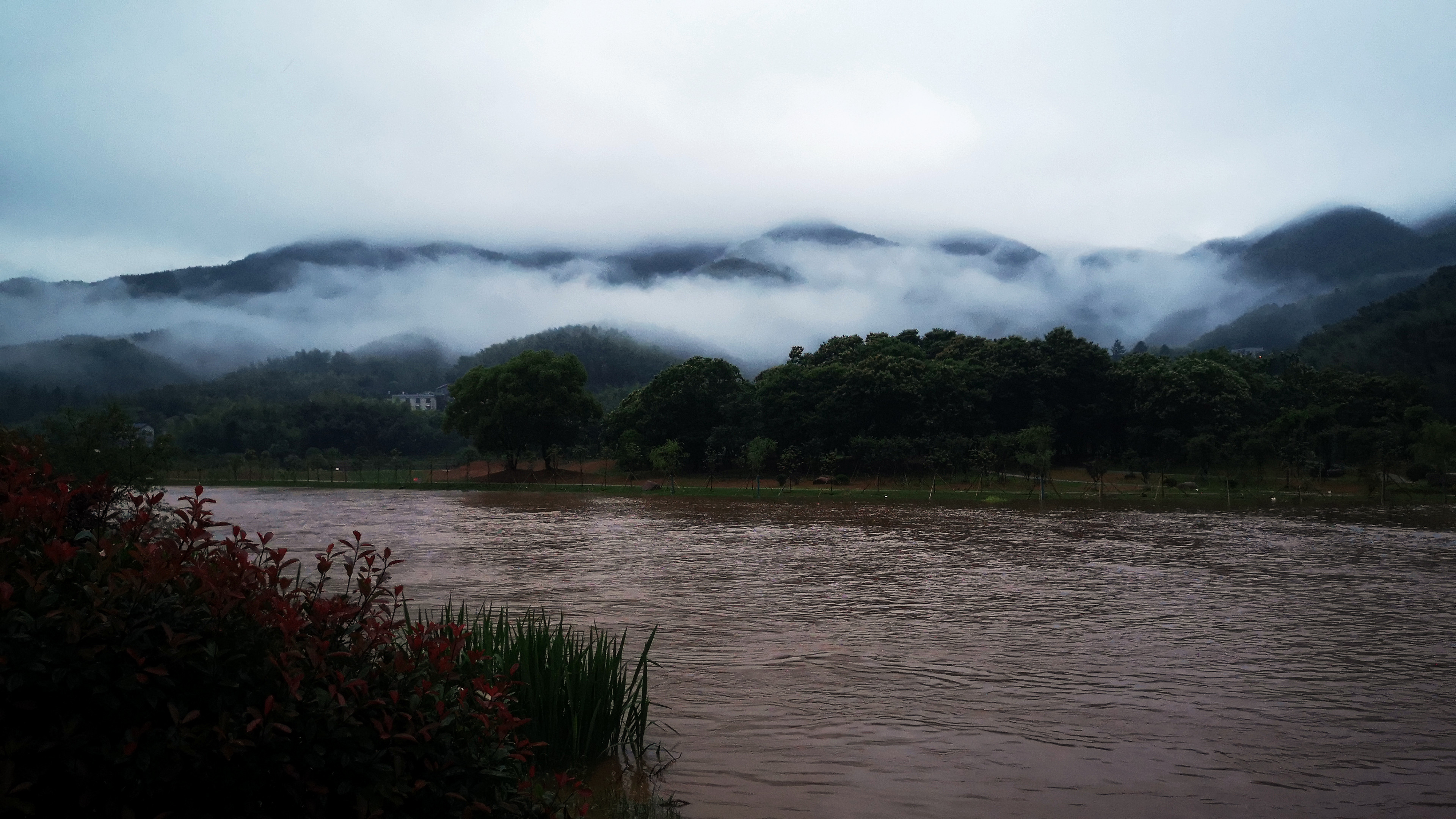 畲族是哪里的民族乡,畲族体验