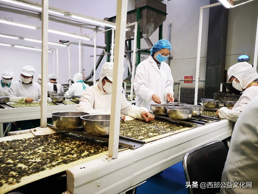 金苹果，是河西走廊一颗璀璨的明珠