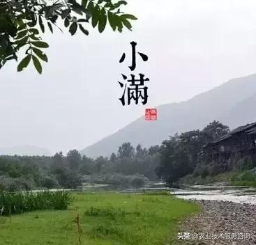 农事节气谚语,农事歌大全