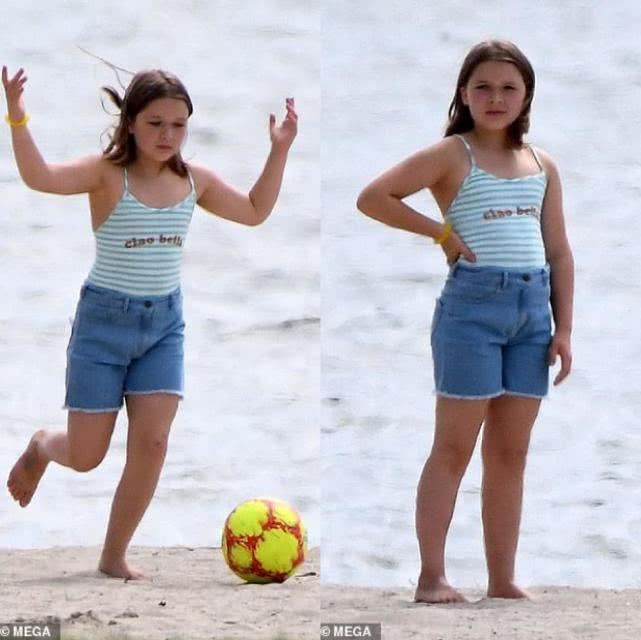 小七与哥哥罗密欧踢足球,贝克汉姆罗密欧和小七