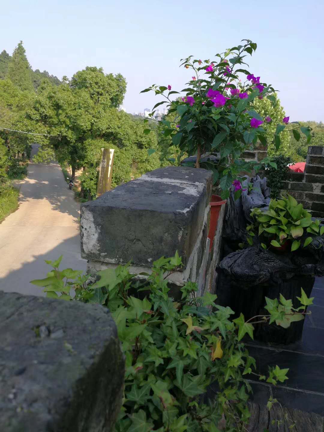 卖掉千万房子回老家,卖掉北京的房子2000万回老家