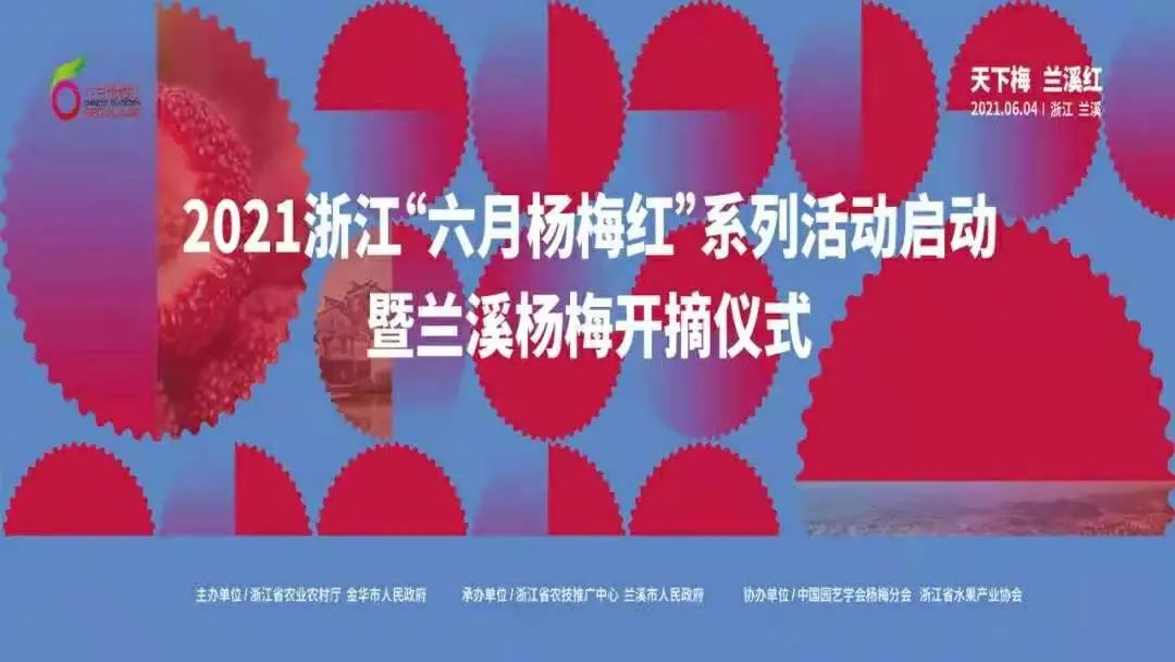 兰溪杨梅正式开摘！最强采摘攻略出炉，五十里杨梅长廊够吃吗？杨梅自由就是现在！