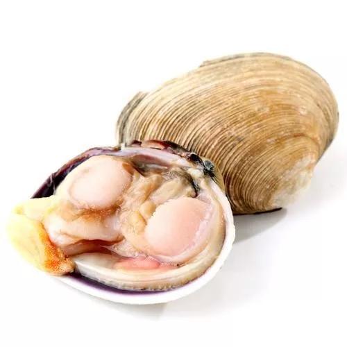 烟台海鲜天鹅蛋,丹东天鹅蛋海鲜