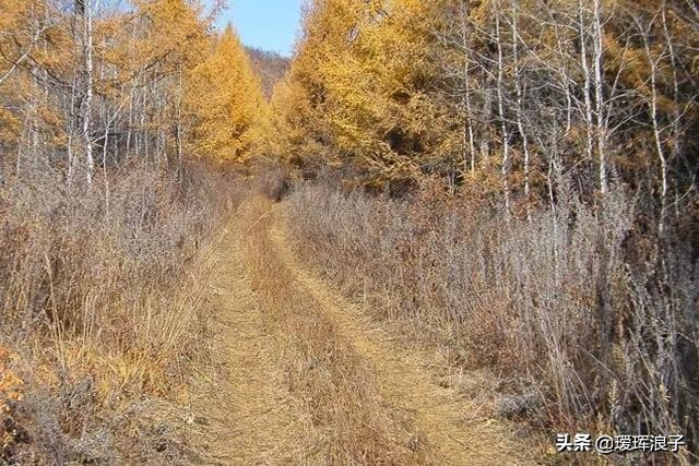 再见那年的秋天，回首多了感动，少了阑珊