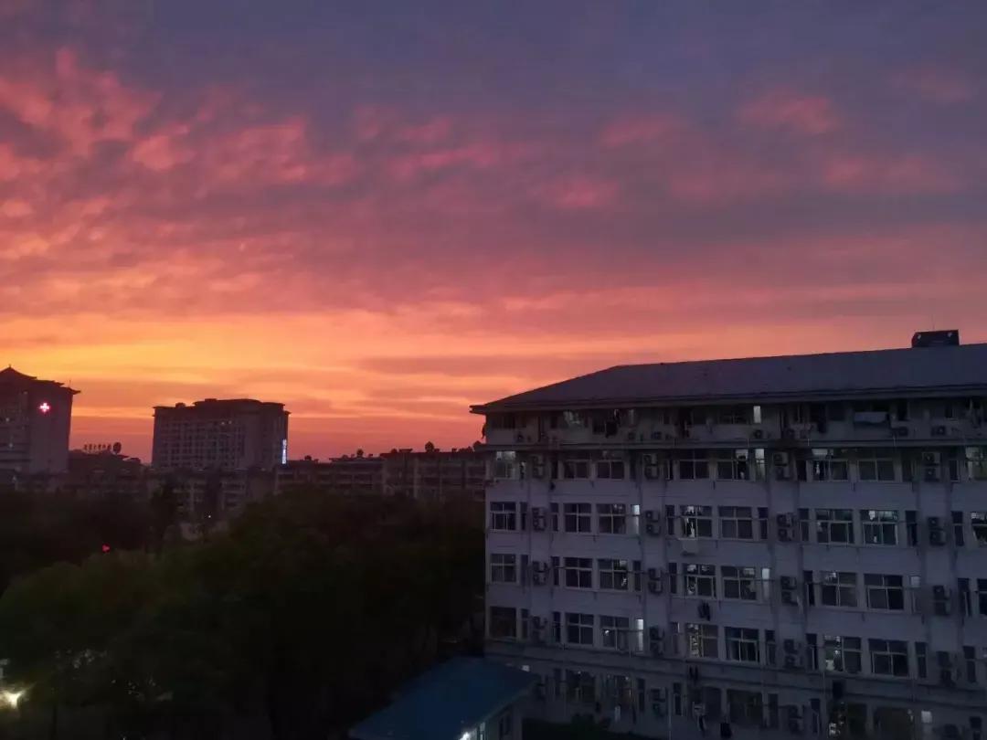 江苏省高校（九）扬州大学