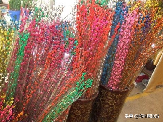 十种最旺客厅的花冬季,春节喜庆花卉有哪些