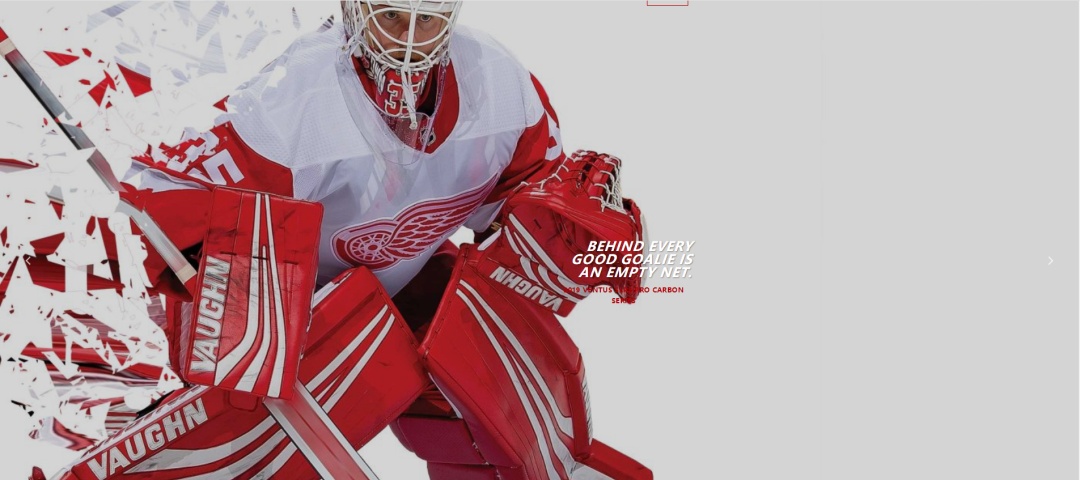 vaughn教学视频,vaughn球员