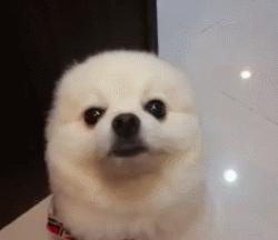 家里四样东西千万不能借,这些东西千万别送人