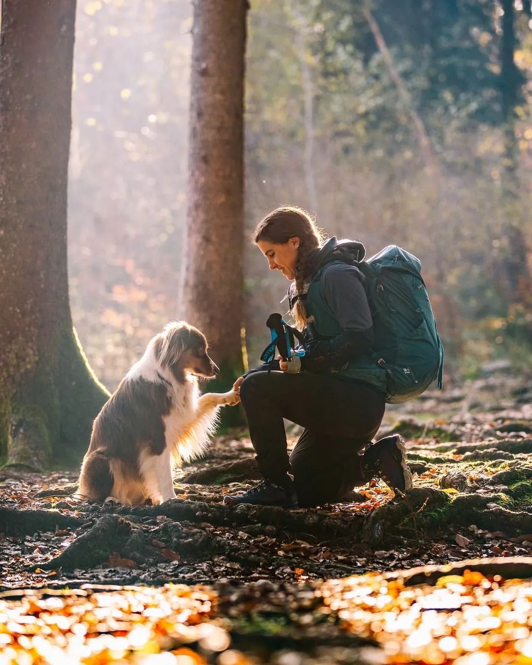 鎴峰鍝佺墝涓栫晫鍗佸ぇ椤剁骇鎴峰鍝佺墝,鎴峰鎬т环姣旀渶楂樼殑鎴峰鍝佺墝