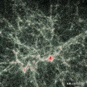 小小黏菌，大大智慧：预测星系间暗物质网络的黏菌算法