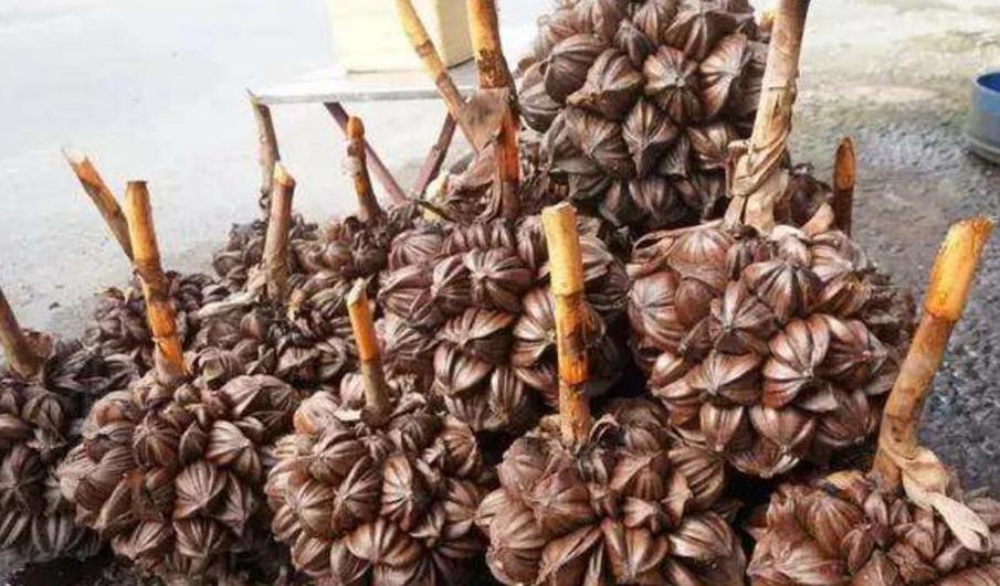 越南买不到的中国零食,不值钱的越南国货