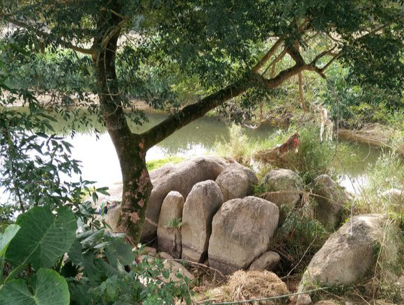 鲫鱼大个的好还是小个的好,鲫鱼好吃还是小白条好吃