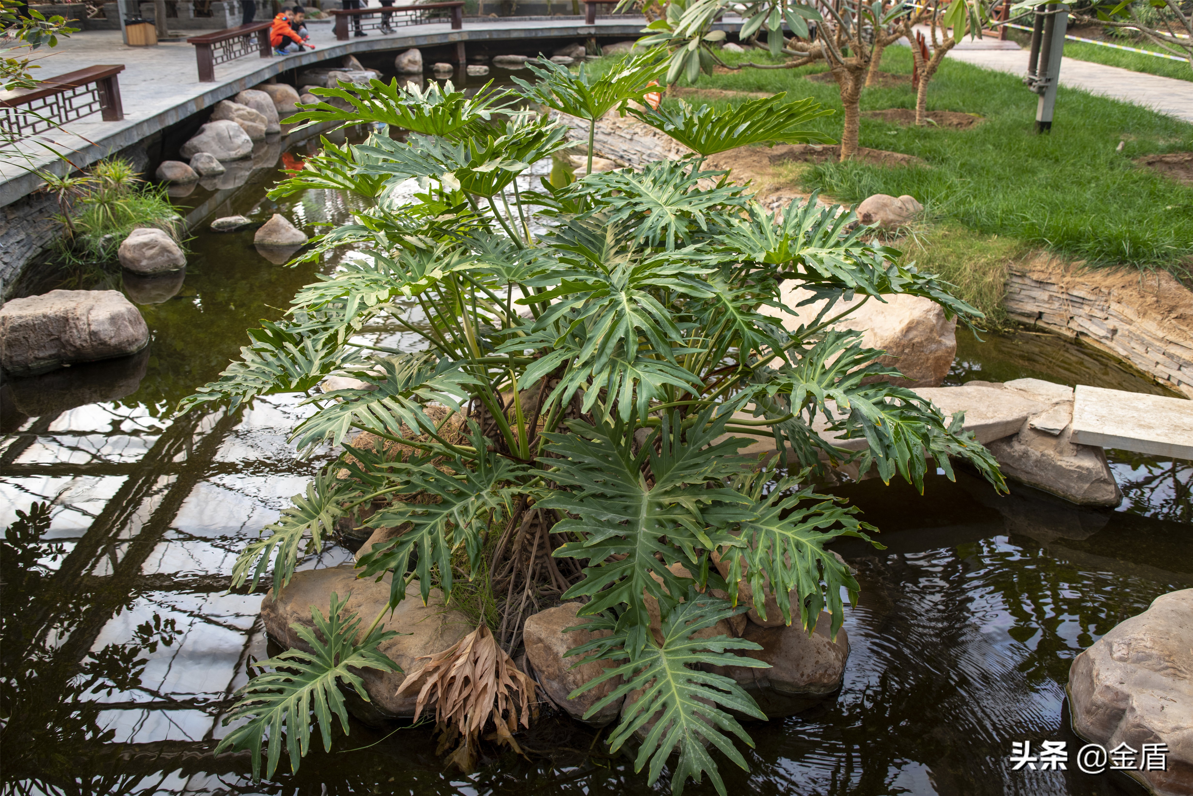 九天休闲谷游览攻略,九天休闲谷欢迎您游玩