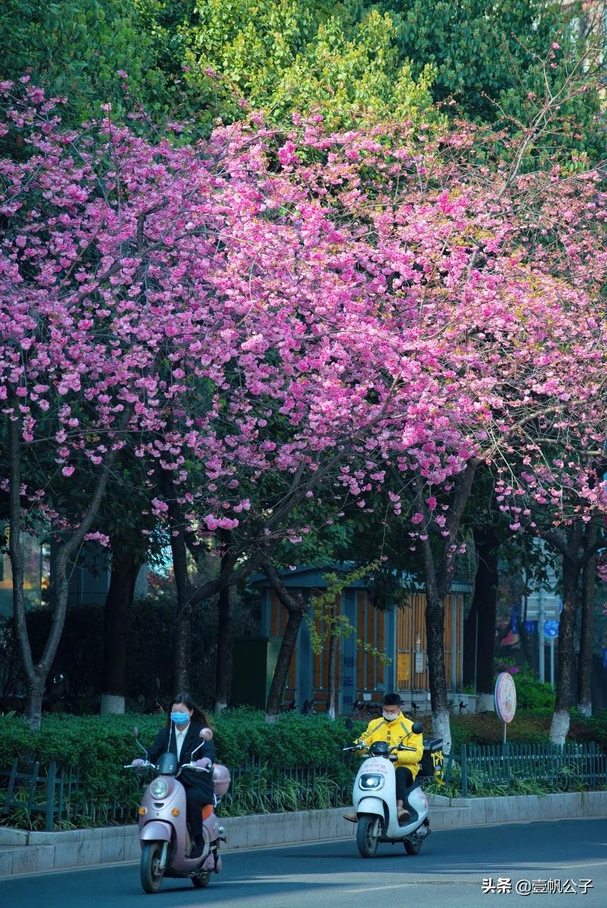 被大理的美景所折服,被丽江的风景美到了