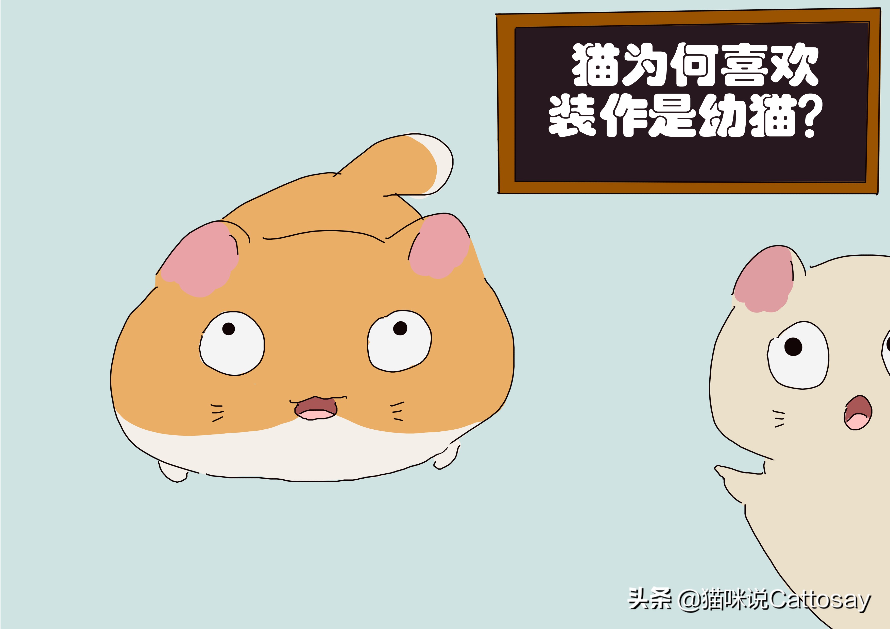 家猫为什么变得像野猫了,家猫为什么喜欢咬新猫