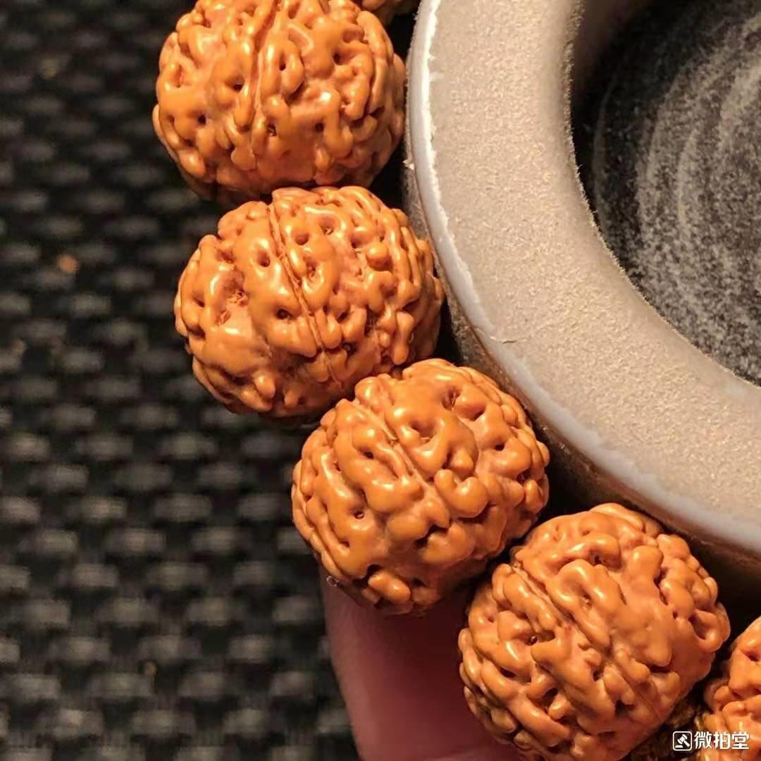 小金刚纹路有小尖,最受欢迎的小金刚纹路