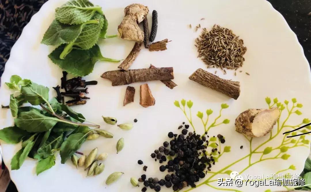 YogaLa2019印度南部阿育啡陀认证课程+排毒解压之旅