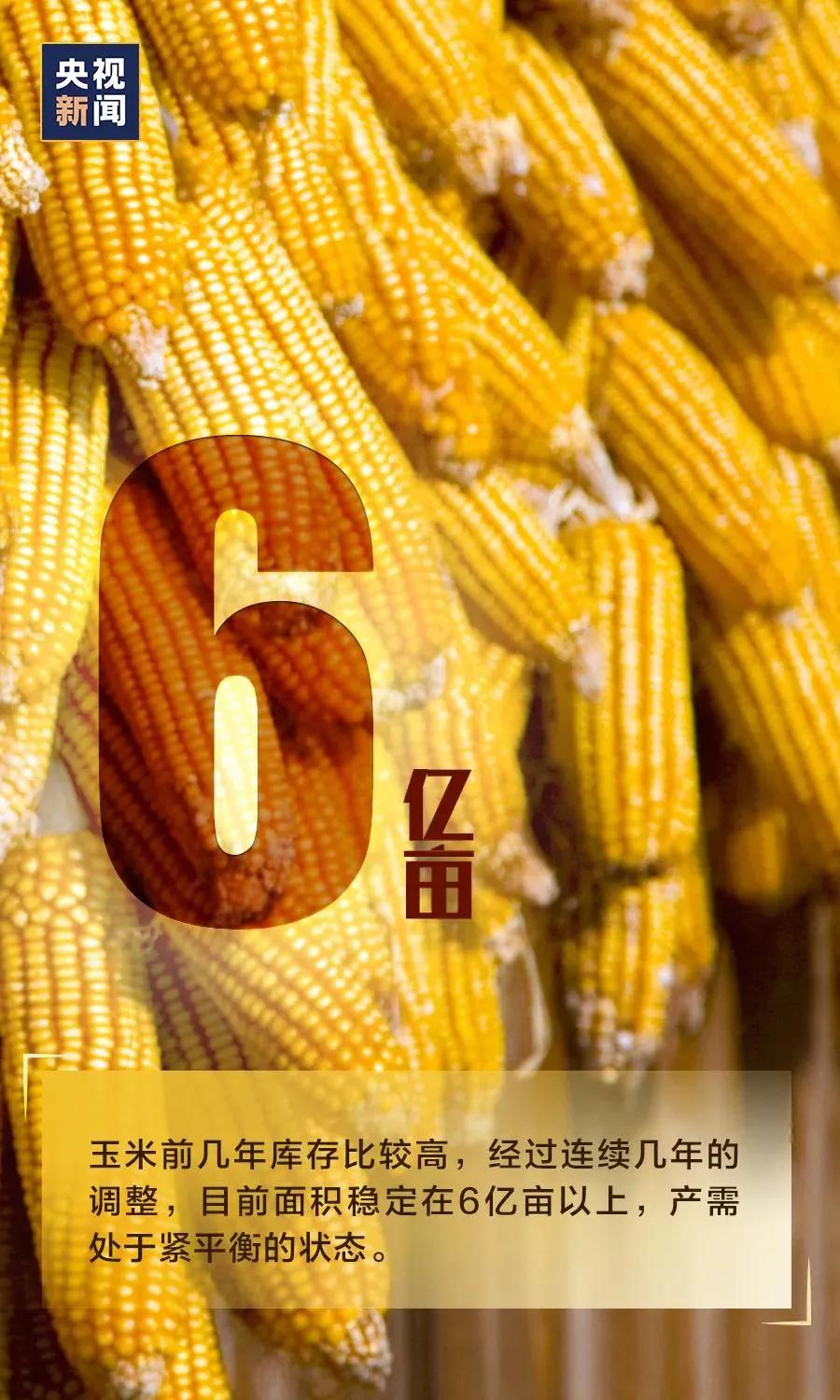 万全实验小学怎么样,万全镇新学校什么时候盖