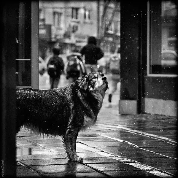 派派最新爆料,派派最新最真实报道