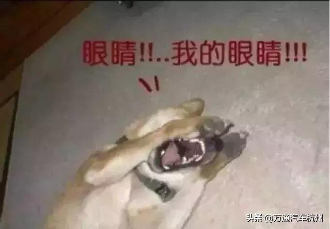 什么大灯可以改,大灯到底可不可以改