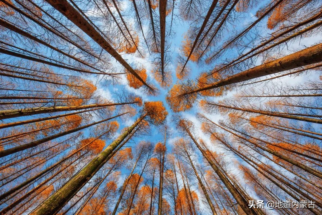 60岁之前要去的十大地方,一生中必去的中国50个最美的地方