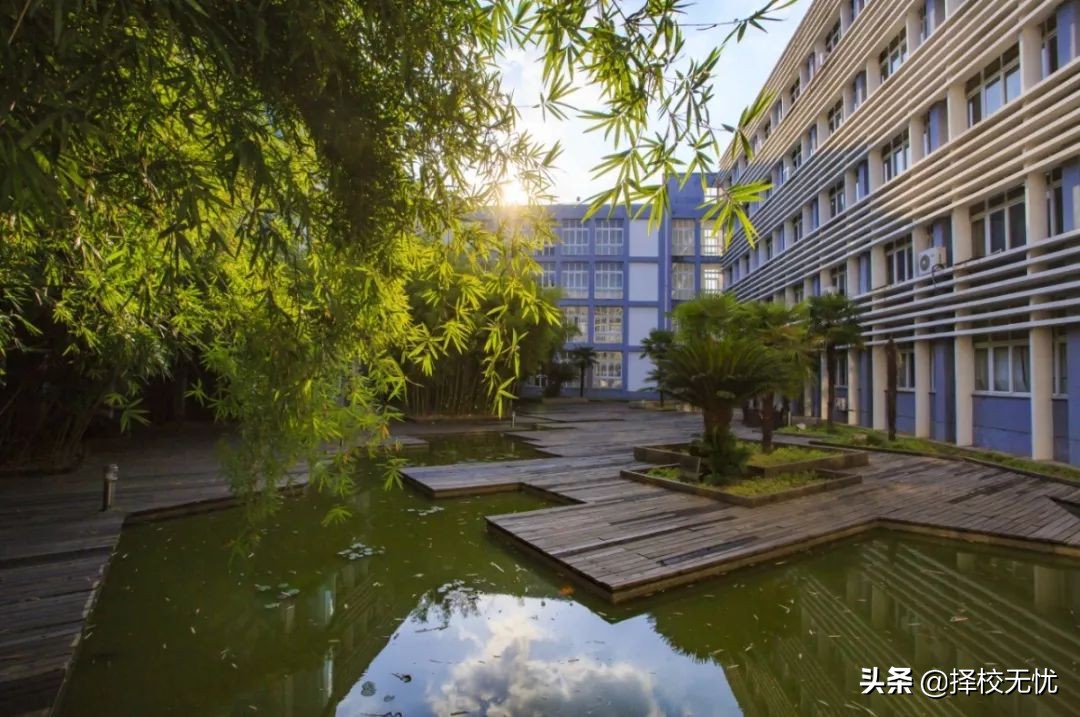 志愿填报升学无忧,宁波卫生职业技术学院单招