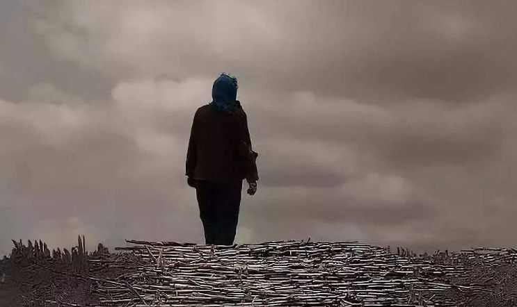 母亲的遗憾作文,母亲的遗憾有哪些