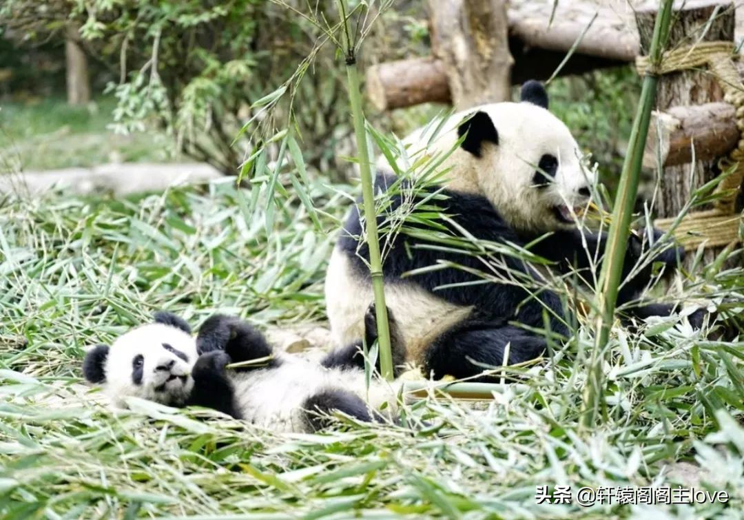 旅行回来想分手了,出去玩一趟回来分手