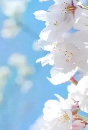 三亚康年子悦酒店,三亚子悦康年酒店