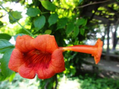 说文解字第212课,说文解字第1163课