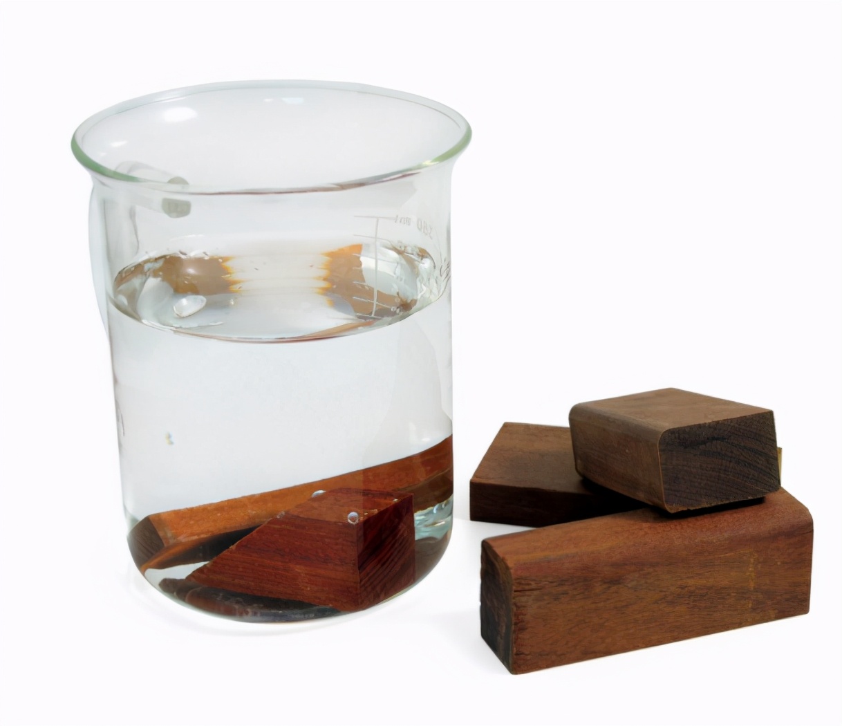 不砍头，怎么测出头的质量？|趣问万物