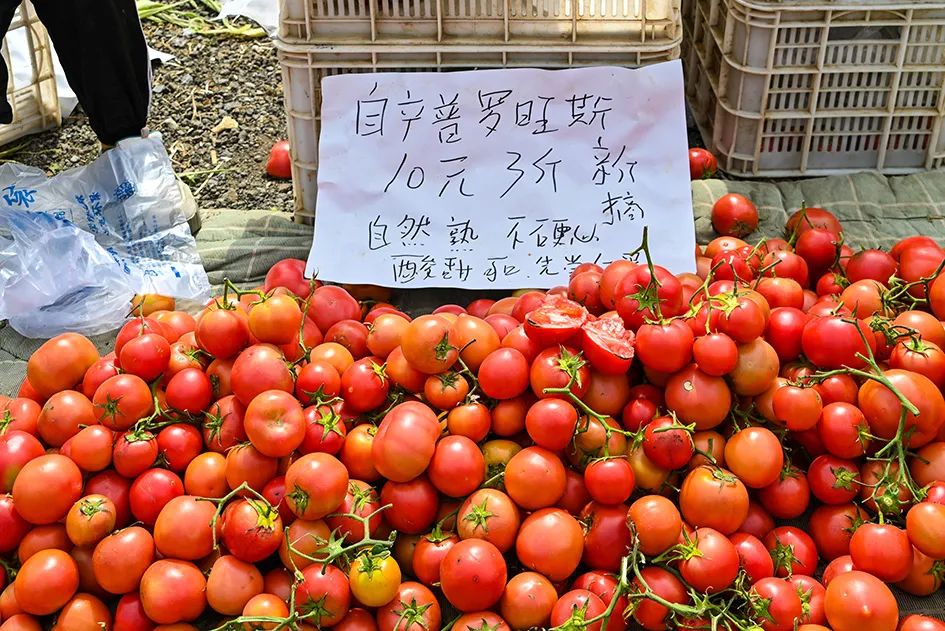 北京京郊大集地理位置,今天京郊哪有大集
