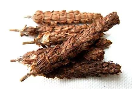 夏桑菊可以清热去火吗,夏桑菊是药还是凉茶