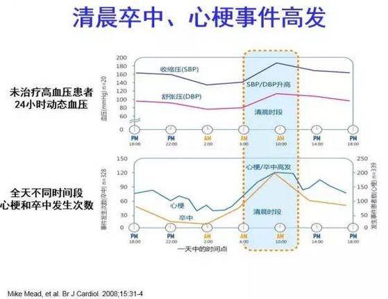 血压值波动大要注意什么,血压高危如何调理