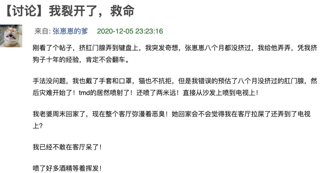 淦！给猫挤肛门腺喷到笔记本键盘上了