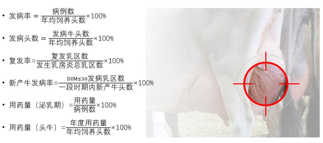 法国诗华达明博士马翀博士为您分享乳房炎最佳治疗方案