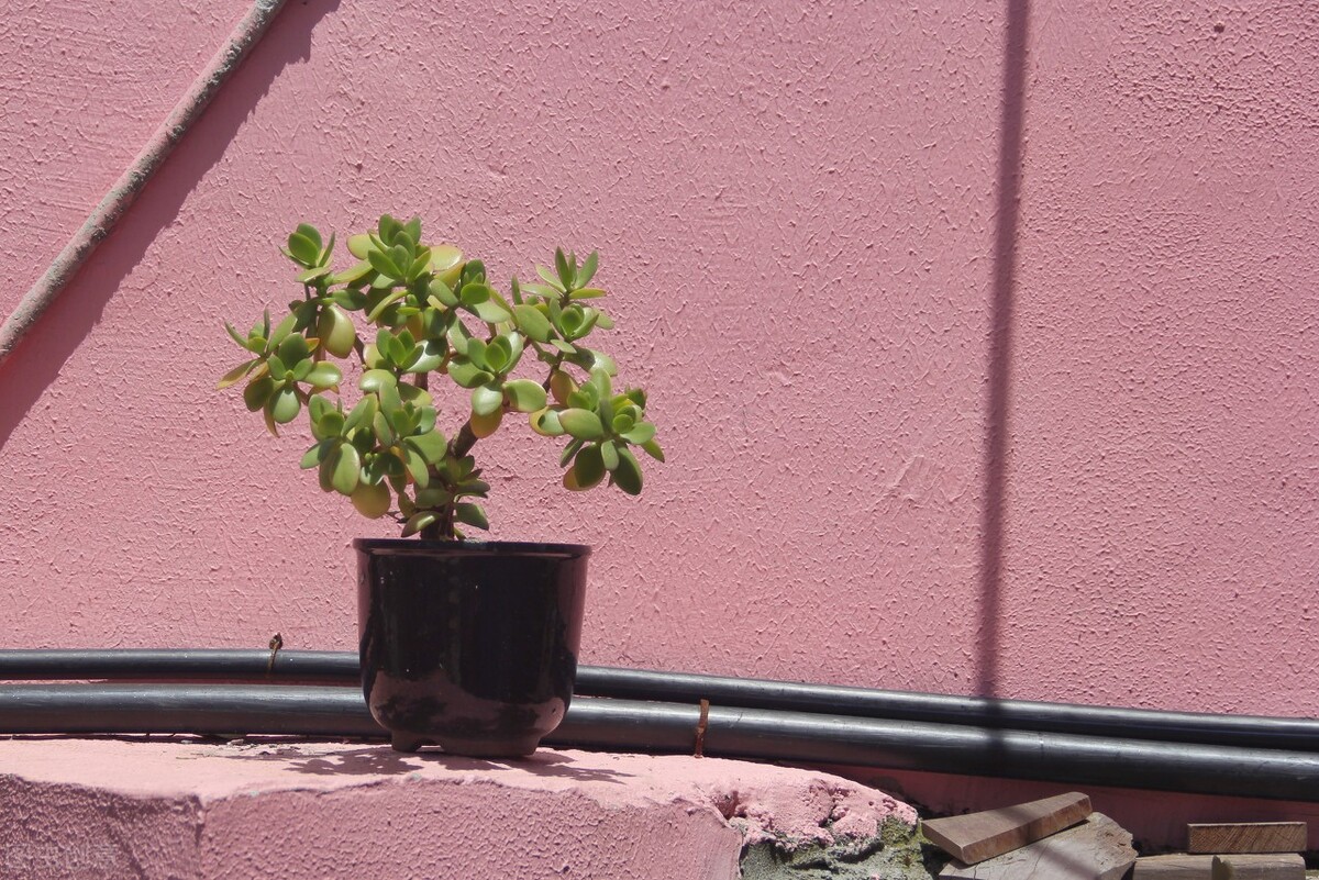 错峰出游目的地,良心推荐五一值得去的地方