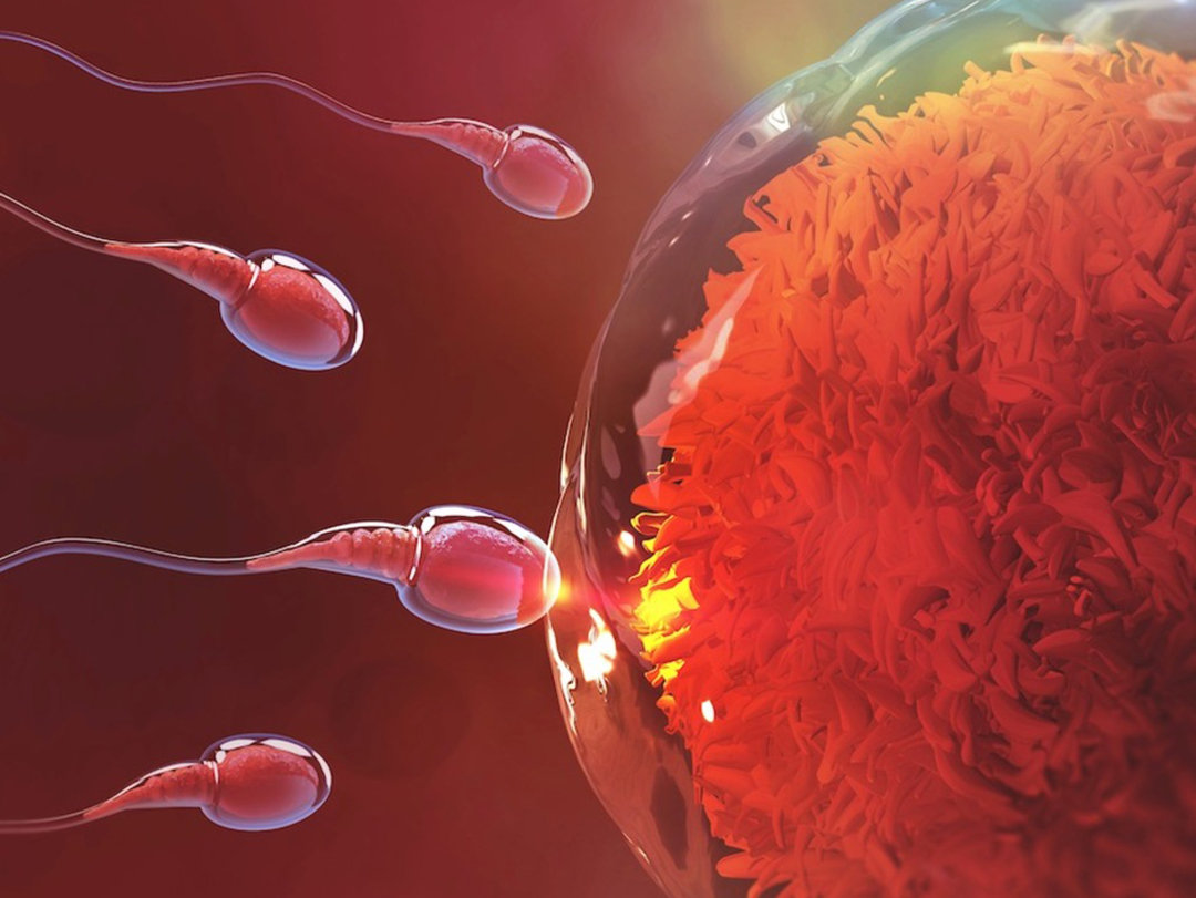 科学家发现精子运动规律,科学家发现精子异常