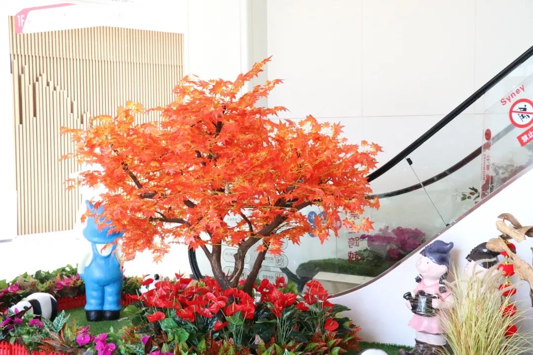 城西二级保健院正式投用!一环南部闭环,二中凤凰河校区来了