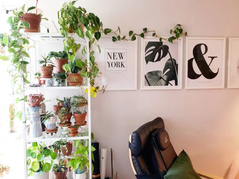 100㎡的家养了99株植物，我醉氧了…