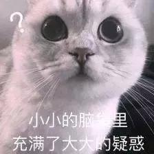 三江将被天猫接管！？剥离盒马，宁波本地最大的线下商超未来将何去何从