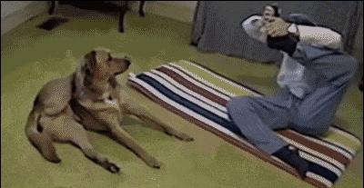 30秒搞定海报,一张海报做10秒酷炫视频