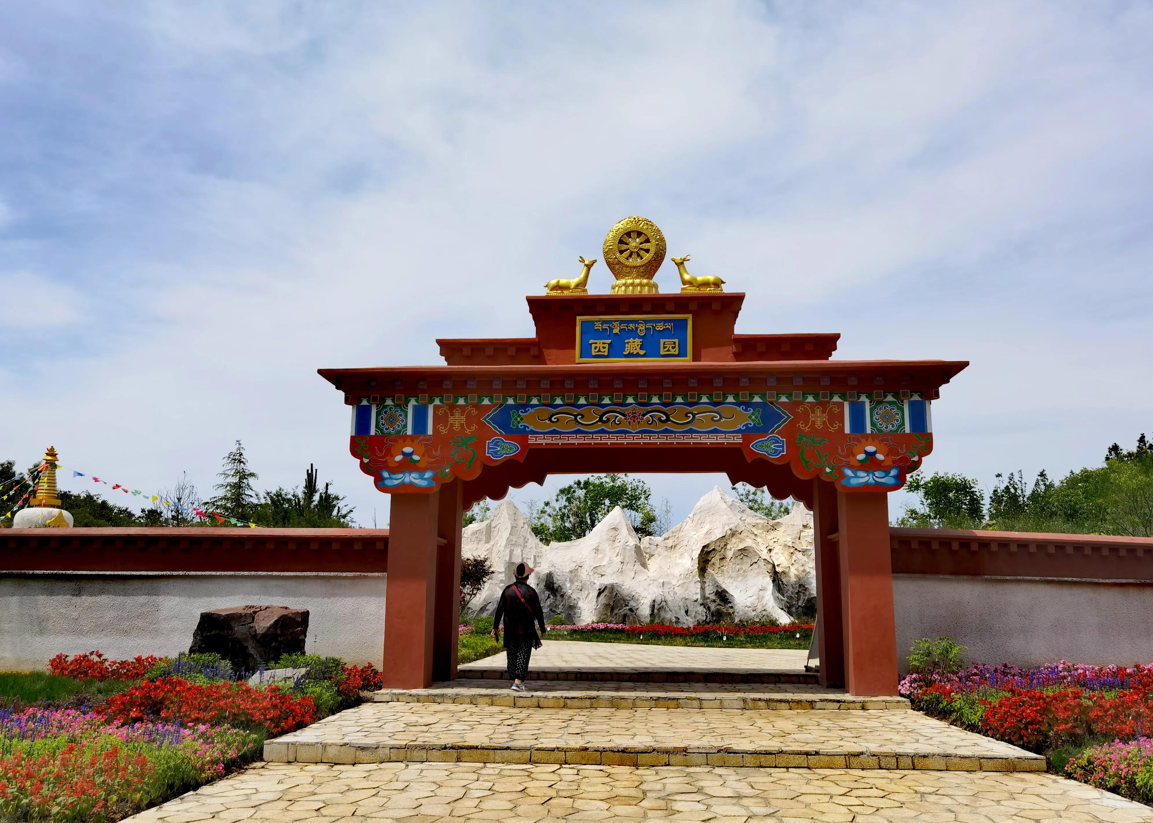 关于崇明花博会,崇明花博会全程花景