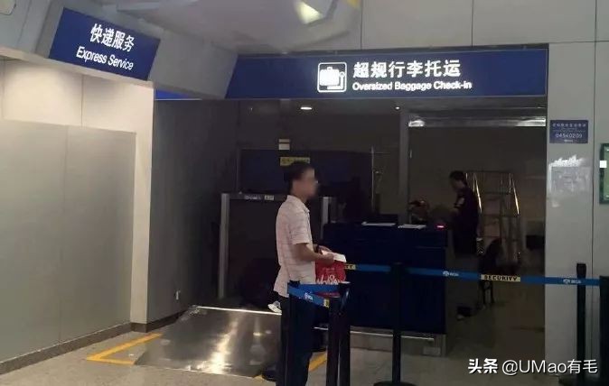 小猫咪托运怎样才最安全,如何托运小猫咪