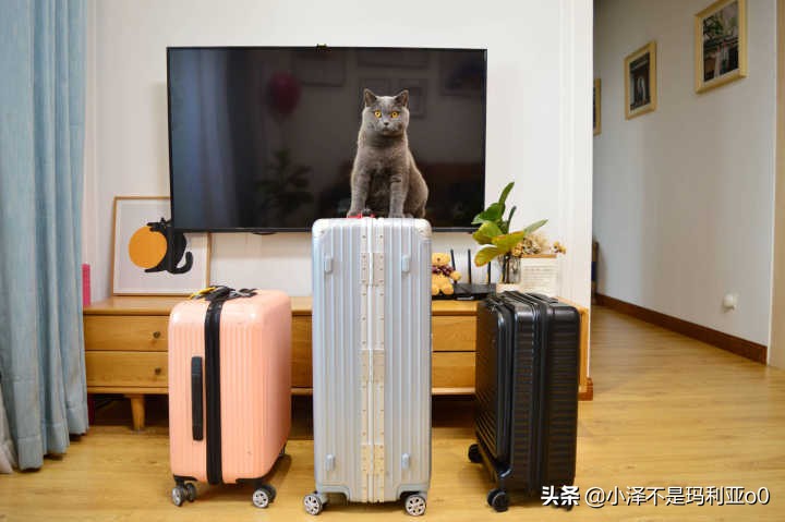 十款超实用的旅行好物分享,出门旅行必备实用好物推荐