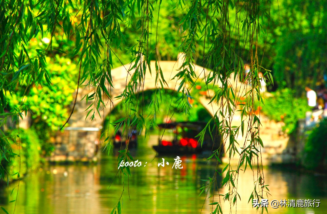 江南水乡古镇20年的视频,江南水乡古镇没有过多商业化