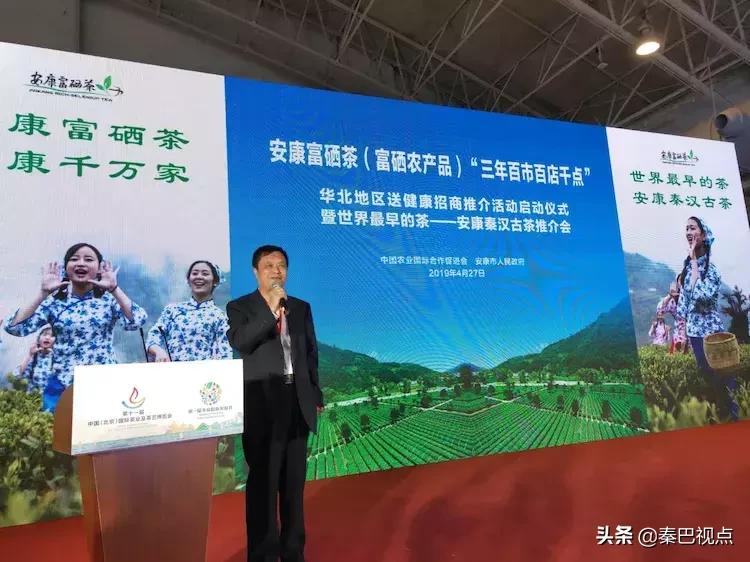 秦汉古茶价格,秦汉古茶图片