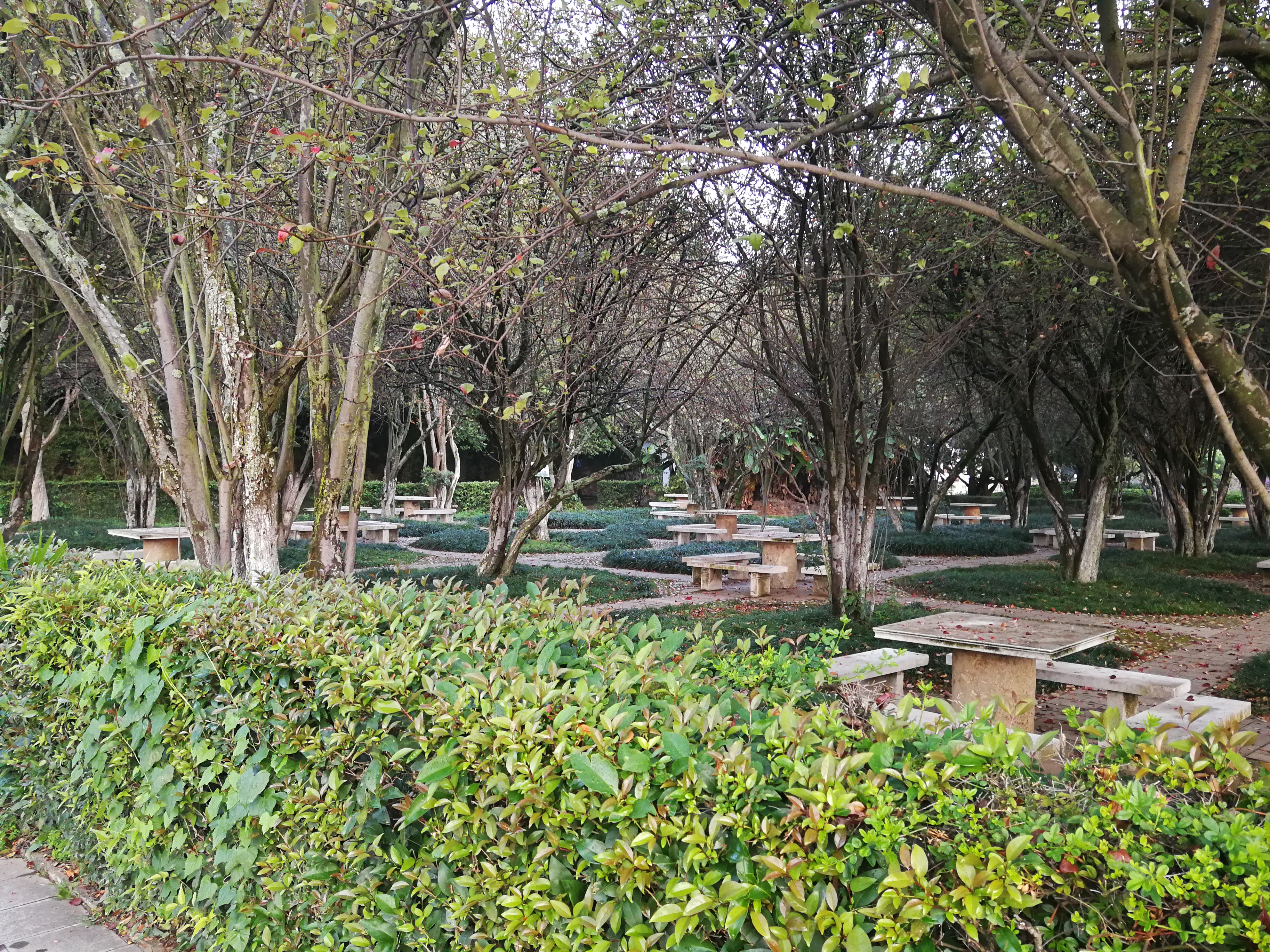 庾澄庆滇池,滇池边西山下神秘别墅