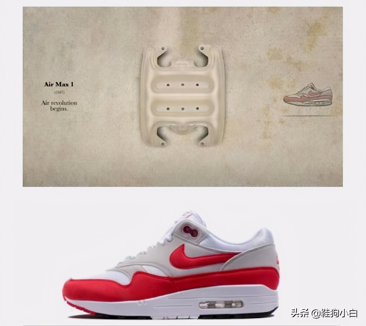 nike气垫介绍,科普向未来资料